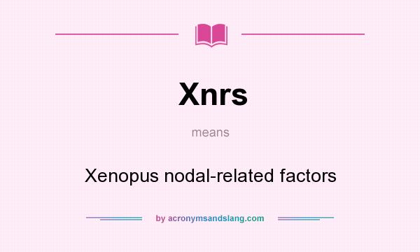 What does Xnrs mean? It stands for Xenopus nodal-related factors