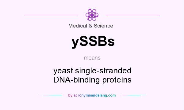What does ySSBs mean? It stands for yeast single-stranded DNA-binding proteins