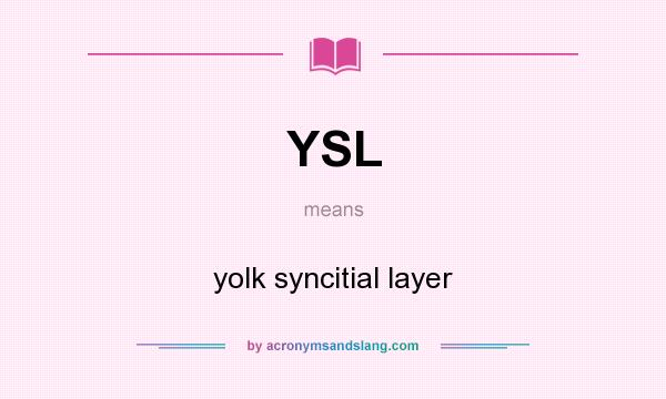 What does YSL mean? It stands for yolk syncitial layer