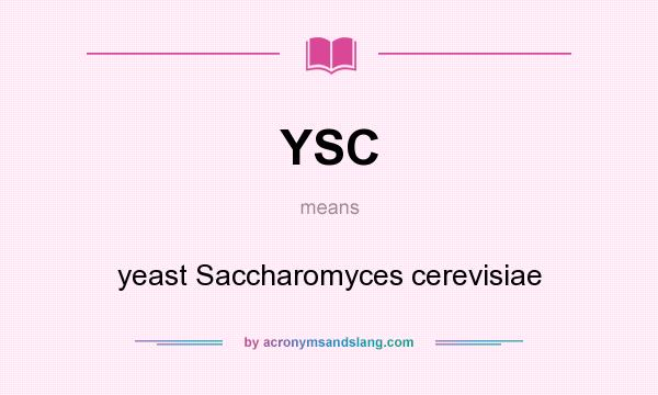 What does YSC mean? It stands for yeast Saccharomyces cerevisiae