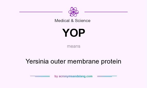 What does YOP mean? It stands for Yersinia outer membrane protein