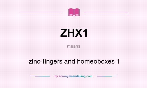What does ZHX1 mean? It stands for zinc-fingers and homeoboxes 1