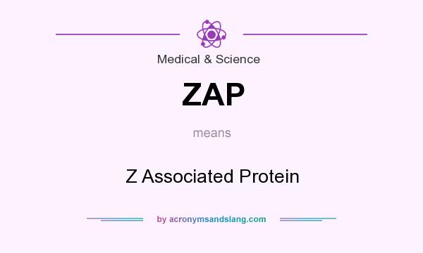 What does ZAP mean? It stands for Z Associated Protein