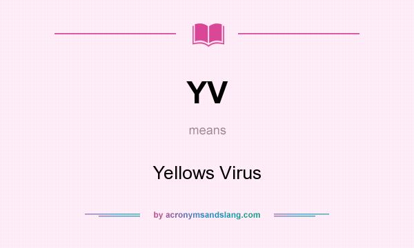 What does YV mean? It stands for Yellows Virus