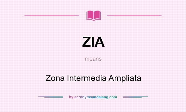 What does ZIA mean? It stands for Zona Intermedia Ampliata