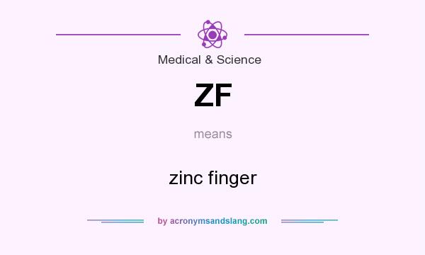 What does ZF mean? It stands for zinc finger