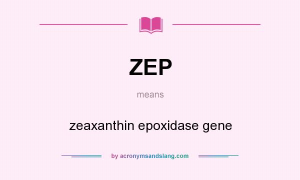 What does ZEP mean? It stands for zeaxanthin epoxidase gene