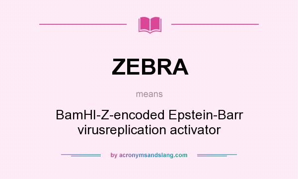 What does ZEBRA mean? It stands for BamHI-Z-encoded Epstein-Barr virusreplication activator