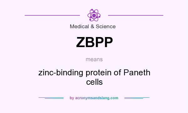 What does ZBPP mean? It stands for zinc-binding protein of Paneth cells