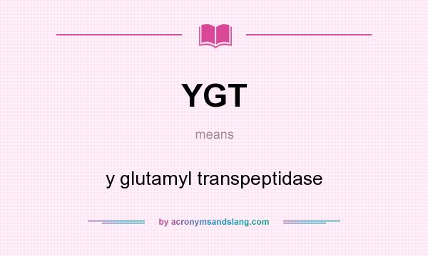 What does YGT mean? It stands for y glutamyl transpeptidase
