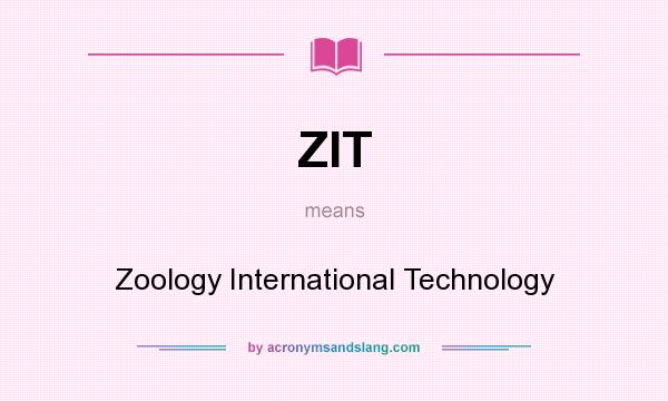 What does ZIT mean? It stands for Zoology International Technology