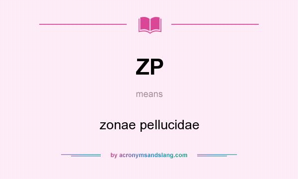 What does ZP mean? It stands for zonae pellucidae