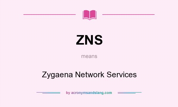 What does ZNS mean? It stands for Zygaena Network Services