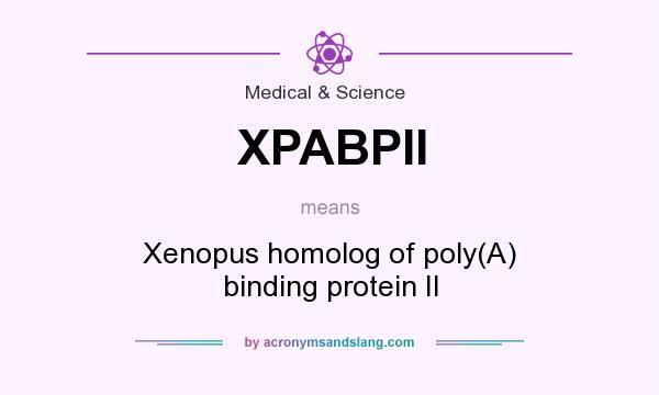 What does XPABPII mean? It stands for Xenopus homolog of poly(A) binding protein II