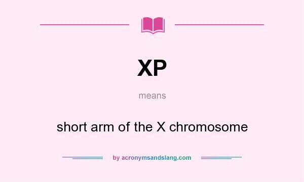 What does XP mean? It stands for short arm of the X chromosome