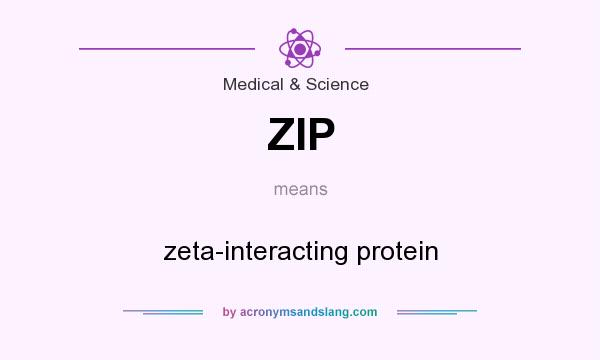 What does ZIP mean? It stands for zeta-interacting protein