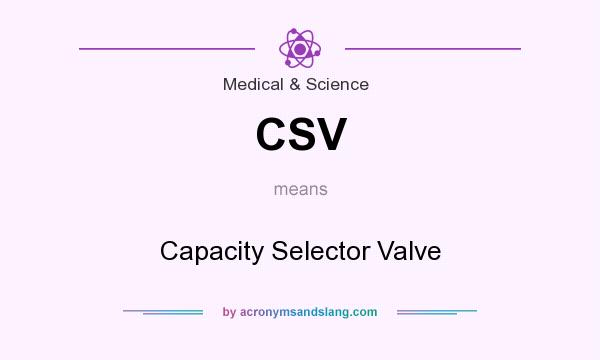 What does CSV mean? It stands for Capacity Selector Valve