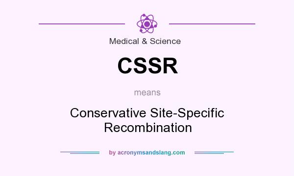 What does CSSR mean? It stands for Conservative Site-Specific Recombination