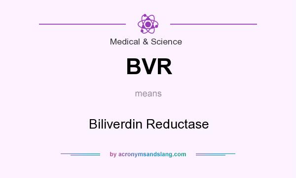 What does BVR mean? It stands for Biliverdin Reductase