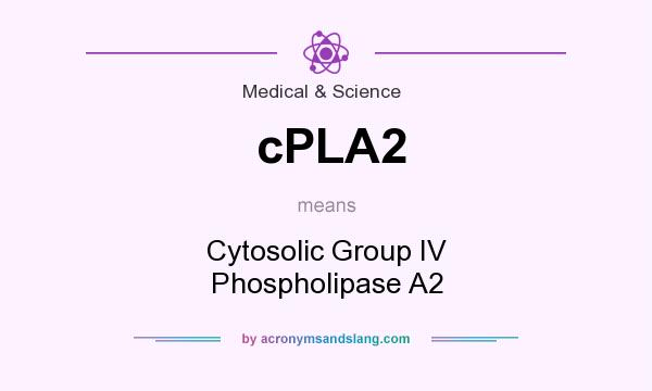 What does cPLA2 mean? It stands for Cytosolic Group IV Phospholipase A2