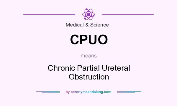 What does CPUO mean? It stands for Chronic Partial Ureteral Obstruction