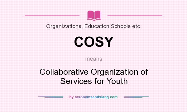 What does COSY mean? It stands for Collaborative Organization of Services for Youth