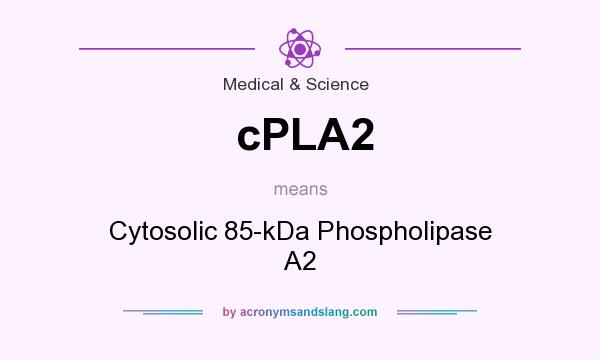 What does cPLA2 mean? It stands for Cytosolic 85-kDa Phospholipase A2
