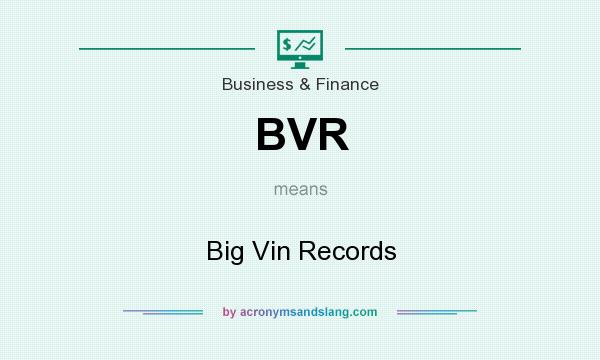 What does BVR mean? It stands for Big Vin Records