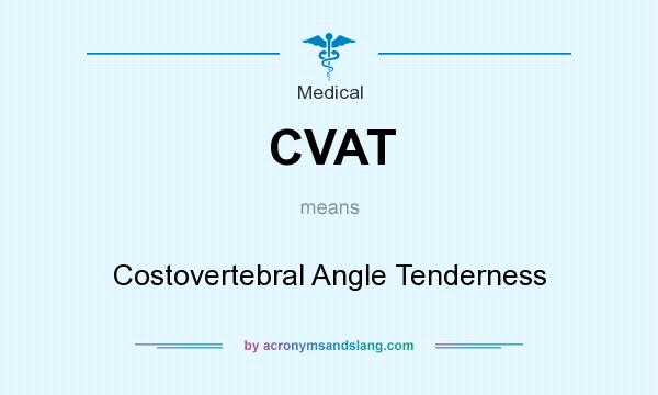 What does CVAT mean? It stands for Costovertebral Angle Tenderness