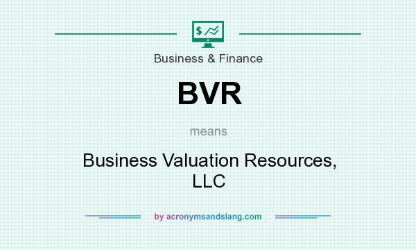 What does BVR mean? It stands for Business Valuation Resources, LLC
