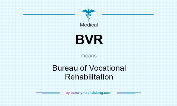 What does BVR mean? It stands for Bureau of Vocational Rehabilitation
