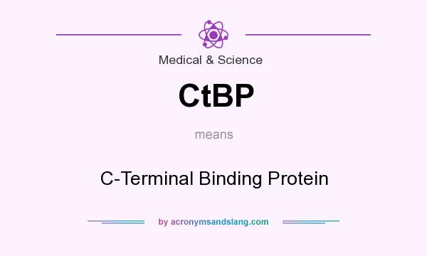 What does CtBP mean? It stands for C-Terminal Binding Protein