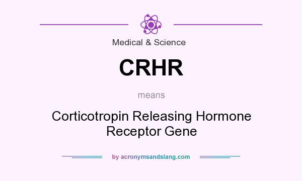 What does CRHR mean? It stands for Corticotropin Releasing Hormone Receptor Gene