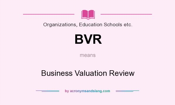 What does BVR mean? It stands for Business Valuation Review