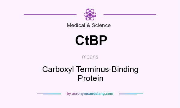What does CtBP mean? It stands for Carboxyl Terminus-Binding Protein