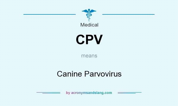 What does CPV mean? It stands for Canine Parvovirus