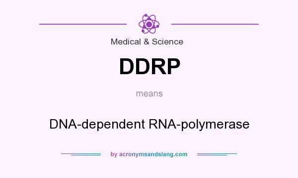 What does DDRP mean? It stands for DNA-dependent RNA-polymerase