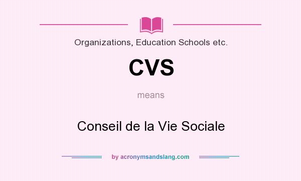 What does CVS mean? It stands for Conseil de la Vie Sociale