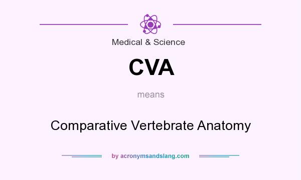 What does CVA mean? It stands for Comparative Vertebrate Anatomy