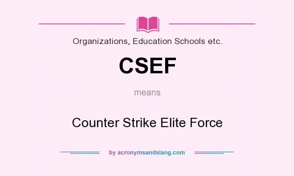 What does CSEF mean? It stands for Counter Strike Elite Force