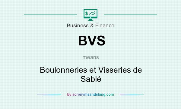 What does BVS mean? It stands for Boulonneries et Visseries de Sablé