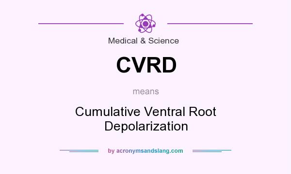 What does CVRD mean? It stands for Cumulative Ventral Root Depolarization