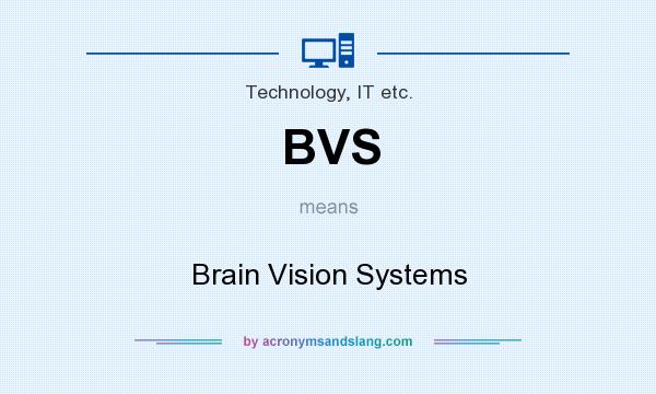 What does BVS mean? It stands for Brain Vision Systems