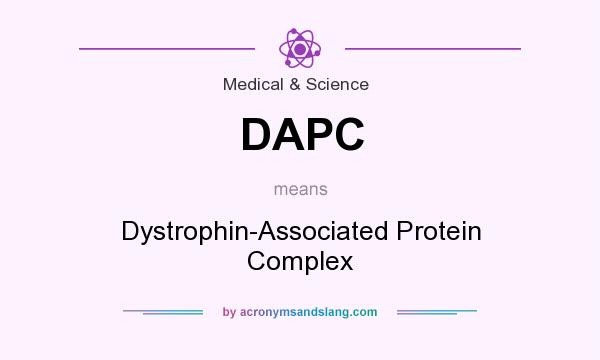 What does DAPC mean? It stands for Dystrophin-Associated Protein Complex