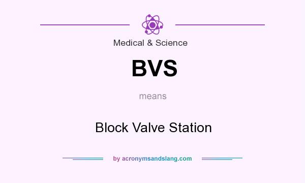 What does BVS mean? It stands for Block Valve Station