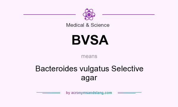 What does BVSA mean? It stands for Bacteroides vulgatus Selective agar