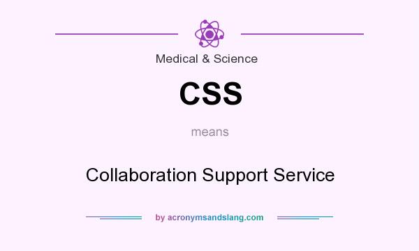 What does CSS mean? It stands for Collaboration Support Service