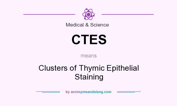 What does CTES mean? It stands for Clusters of Thymic Epithelial Staining