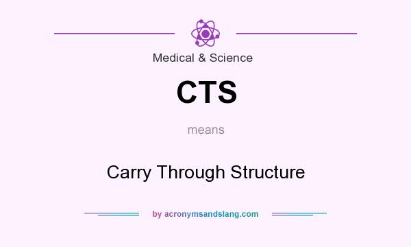 What does CTS mean? It stands for Carry Through Structure