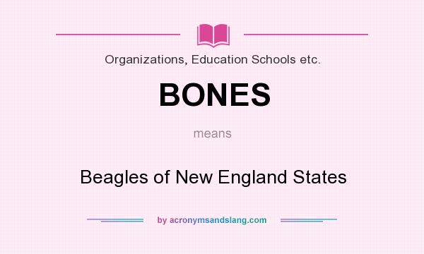 What does BONES mean? It stands for Beagles of New England States